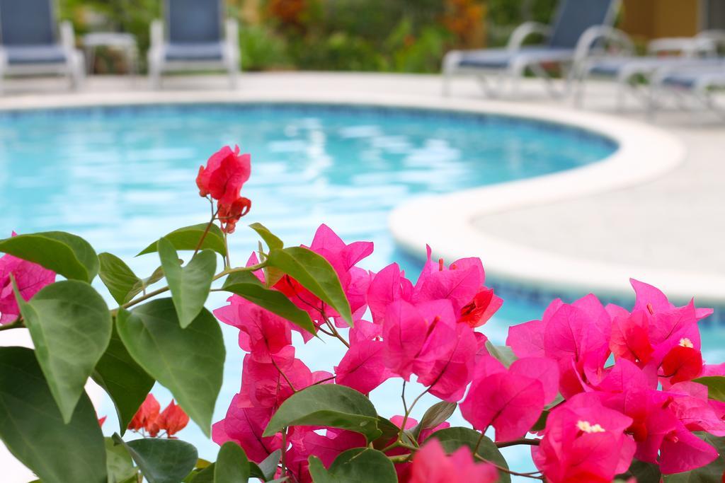 Corinto Pearl Eco Resort El Pino Εξωτερικό φωτογραφία
