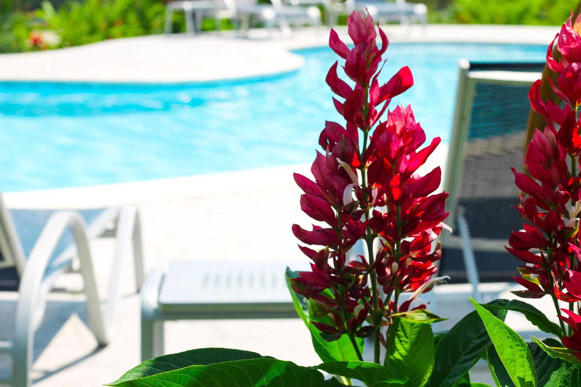Corinto Pearl Eco Resort El Pino Εξωτερικό φωτογραφία
