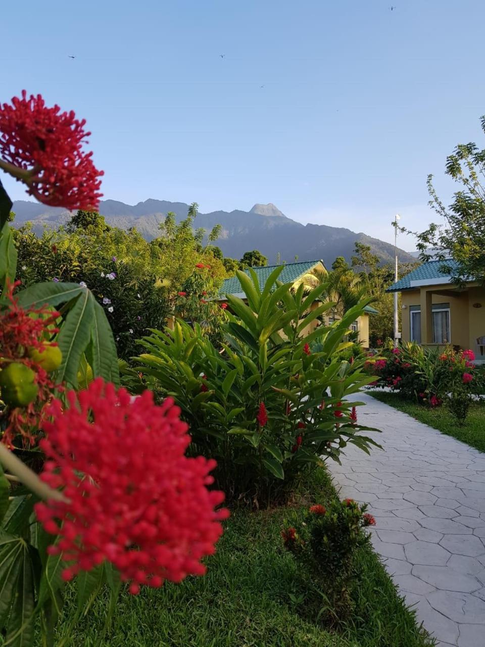 Corinto Pearl Eco Resort El Pino Εξωτερικό φωτογραφία